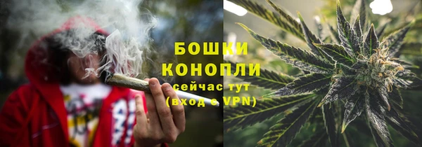 дурь Гусиноозёрск