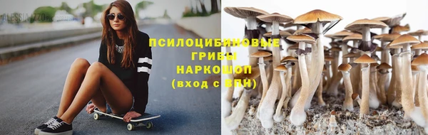 прущие грибы Гусь-Хрустальный
