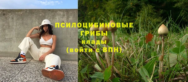 дурь Гусиноозёрск