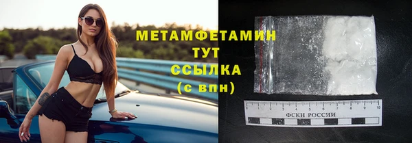 прущие грибы Гусь-Хрустальный