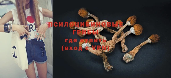 дурь Гусиноозёрск