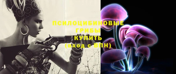 прущие грибы Гусь-Хрустальный