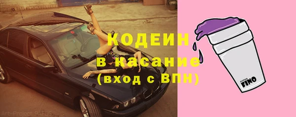 прущие грибы Гусь-Хрустальный