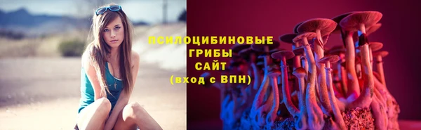 прущие грибы Гусь-Хрустальный