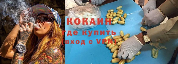 дурь Гусиноозёрск