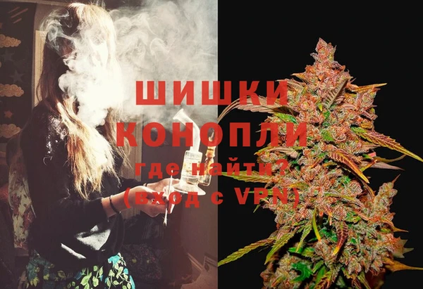 дурь Гусиноозёрск