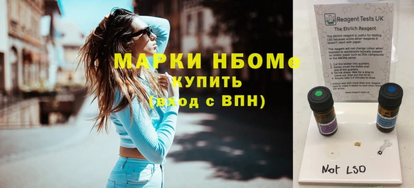 прущие грибы Гусь-Хрустальный