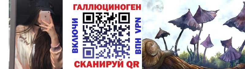магазин продажи наркотиков  blacksprut ссылки  Галлюциногенные грибы Psilocybine cubensis  Коломна 